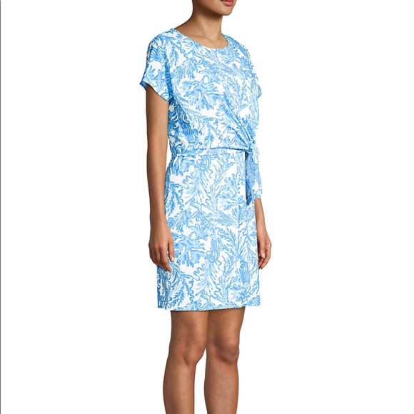 Lilly Pulitzer Inka Resort Dress - Picture 6 of 9
